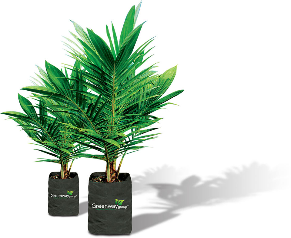 our product